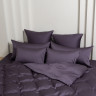 Постельное белье с простыней на резинке 160х200 GERMAN GRASS VIOLET BRILLIANT GRASS 50х70 (2шт), 70х70 (2шт) евро