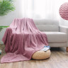 Плед из велсофта АЛЬВИТЕК SOFT PLUSH 015-SP 150х200