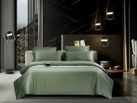 Постельное белье из хлопкового жаккарда ASABELLA 1646-6 50х70 (2шт) и 70х70 (2шт) евро