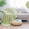 Плед из велсофта АЛЬВИТЕК SOFT PLUSH 013-SP 180х200