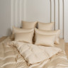 Постельное белье GERMAN GRASS VANILLA BRILLIANT GRASS 50х70 (2шт) евро