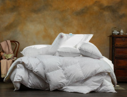 Одеяло пуховое GERMAN GRASS Princess Down Grass всесезонное 150х200