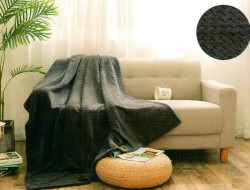 Плед из велсофта АЛЬВИТЕК SOFT PLUSH 008-SP 150х200
