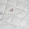 Перина пуховая GERMAN GRASS ROYAL DOWN GRASS 90х200