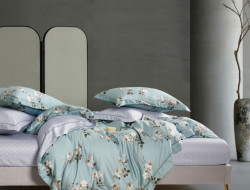 Постельное белье из тенсела ASABELLA 2018-6 50х70 (2шт) и 70х70 (2шт) евро