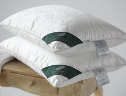 Подушка из натурального шелка ANNA FLAUM NOSTALGIE KOLLEKTION 50х70 средняя