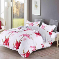 Постельное белье из микросатина TANGO DREAM FLY DF-258-50 50х70 (2шт) семейное