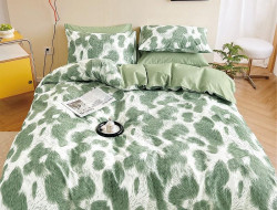 Постельное белье из твила TANGO TPIG6-1891 50х70 (2шт), 70х70 (2шт) евро