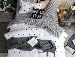 Постельное белье из микросатина TANGO DREAM FLY DF-114-50 50х70 (2шт) семейное