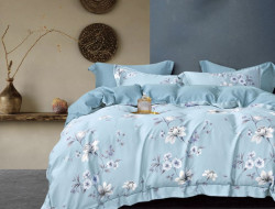 Постельное белье из тенсела ASABELLA 2086-6 50х70 (2шт) и 70х70 (2шт) евро