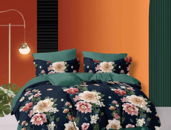 Постельное белье из микросатина TANGO DF-506 DREAM FLY 50х70 (2шт) евро