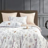 Постельное белье из египетского хлопка Premium ASABELLA 2180-6 50х70 (2шт) и 70х70 (2шт) евро