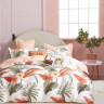 Постельное белье двухстороннее из твила TANGO парадис 50х70 (2шт), 70х70 (2шт) евро