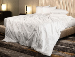 Одеяло шелковое GERMAN GRASS Paisley Silk Grass всесезонное 140х205