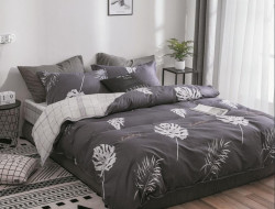 Постельное белье из микросатина TANGO DREAM FLY DF-310-50 50х70 (2шт) семейное