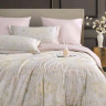 Постельное белье из египетского хлопка Premium ASABELLA 2182-6 50х70 (2шт) и 70х70 (2шт) евро
