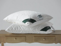 Подушка из натурального шелка ANNA FLAUM NOSTALGIE KOLLEKTION 70х70 средняя