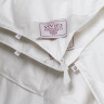 Одеяло GERMAN GRASS ALLIANCE DOWN Light and TENCEL GRASS двойное 200х220