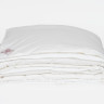 Одеяло GERMAN GRASS ALLIANCE DOWN Light and TENCEL GRASS двойное 240х220