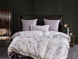 Постельное белье из египетского хлопка ASABELLA 2149-6 50х70 (2шт) и 70х70 (2шт) евро