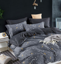 Постельное белье из сатина TANGO TS-X113 50х70 (2шт), 70х70 (2шт) евро