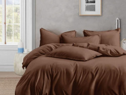 Постельное белье из люксового сатина АЛЬВИТЕК ОCA-008 молочный шоколад 70х70 (2шт) 1,5-спальное