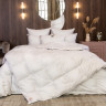 Одеяло пуховое кассетное GERMAN GRASS SILVER DOWN GRASS всесезонное Light 240х220