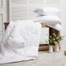 Одеяло стеганое GERMAN GRASS BAMBOO FAMILIE BIO 200x220 всесезонное