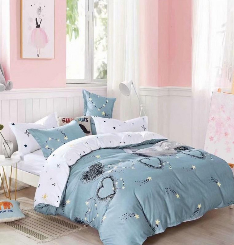 Постельное белье из микросатина TANGO DREAM FLY DF-425-50 50х70 (2шт) семейное