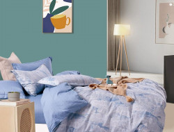 Постельное белье из твила в ПВХ TANGO TPIG-1827 50х70 (2шт) евро