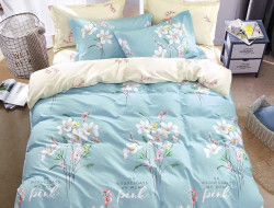 Постельное белье двухстороннее из твила TANGO TPIG5-1296-70 70х70 (2шт) семейное