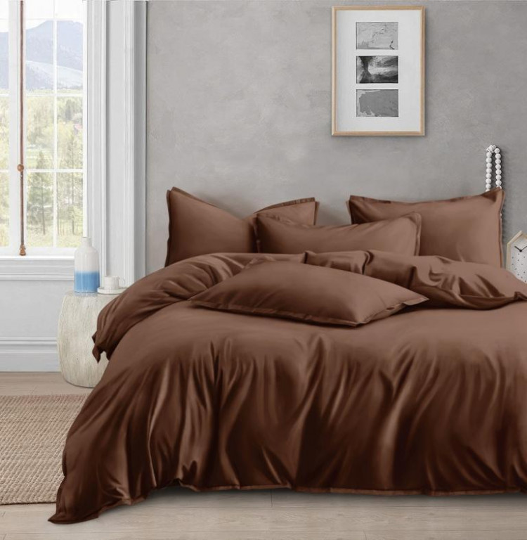 Постельное белье из люксового сатина АЛЬВИТЕК ОCA-008 молочный шоколад 70х70 (2шт) 2-спальное