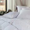 Подушка GERMAN GRASS WHITE FAMILIE DOWN 68х68 средняя