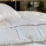 Одеяло кассетное GERMAN GRASS WHITE FAMILIE DOWN 140х205 всесезонное