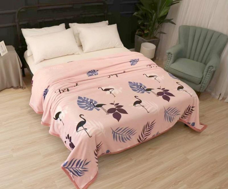 Плед из микрофибры CRISTELLE FLAMENCO CFR2022-08 200х220