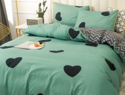 Постельное белье из микросатина TANGO DREAM FLY DF-218-50 50х70 (2шт) 2-спальное