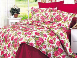 Постельное белье из сатина печатного САЙЛИД B-4 1,5-спальное