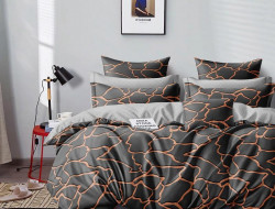 Постельное белье из сатина АЛЬВИТЕК CA-7-698 50х70 (2шт), 70х70 (2шт) семейное