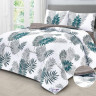 Постельное белье из твила с одеялами TANGO PRIMAVERA эсхинантус семейное