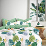 Постельное белье из твил-сатина TANGO ферна 50х70 (2шт) 1,5-спальное