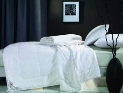 Одеяло из натурального шелка ASABELLA CS-3Z 200х220 теплое