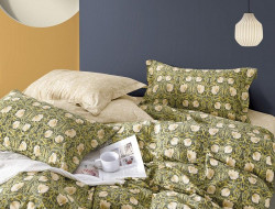 Постельное белье из сатина TANGO TS01-X276 50х70 (1шт) и 70х70 (1шт) 1,5-спальное