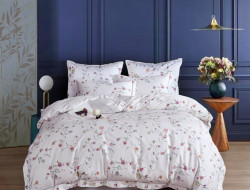 Постельное белье из египетского хлопка Premium ASABELLA Нежные мечты 50х70 (1шт) и 70х70 (1шт) 1,5-спальное