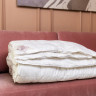 Одеяло кассетное GERMAN GRASS ROYAL DOWN GRASS 160х220 всесезонное Light