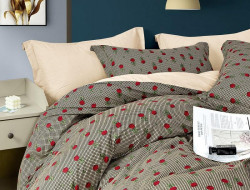 Постельное белье из сатина TANGO TS01-X278 50х70 (1шт) и 70х70 (1шт) 1,5-спальное