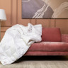 Одеяло кассетное GERMAN GRASS ROYAL DOWN GRASS 240х260 всесезонное Light
