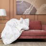 Одеяло кассетное GERMAN GRASS ROYAL DOWN GRASS 240х260 всесезонное Light