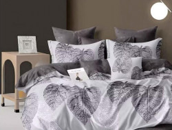 Постельное белье из сатина АЛЬВИТЕК CA-1-719 70х70 (2шт) 1,5-спальное