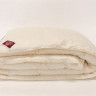 Одеяло кассетное GERMAN GRASS ORGANIC DOWN GRASS 220х240 всесезонное