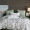 Постельное белье из египетского хлопка Premium ASABELLA Веточки весны 50х70 (1шт) и 70х70 (1шт) 1,5-спальное
